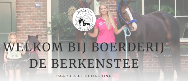 bberkenstee